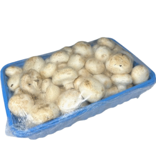 Bandeja de champiñones x1kg